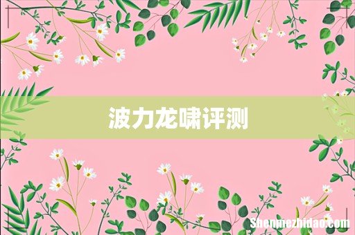 波力龙啸评测