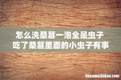 怎么洗桑葚一泡全是虫子 吃了桑葚里面的小虫子有事吗