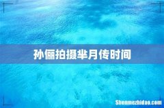 孙俪拍摄芈月传时间