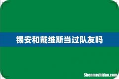 锡安和戴维斯当过队友吗