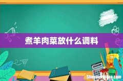 煮羊肉菜放什么调料