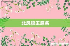 北风狼王原名