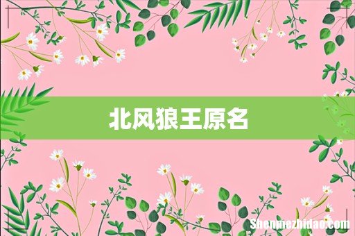 北风狼王原名