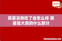 蒜苗没熟吃了会怎么样 蒜苗是大蒜的什么部分