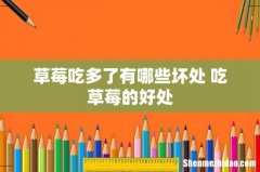 草莓吃多了有哪些坏处 吃草莓的好处