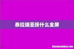 泰拉瑞亚按什么全屏