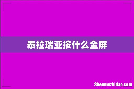 泰拉瑞亚按什么全屏