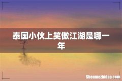 泰国小伙上笑傲江湖是哪一年