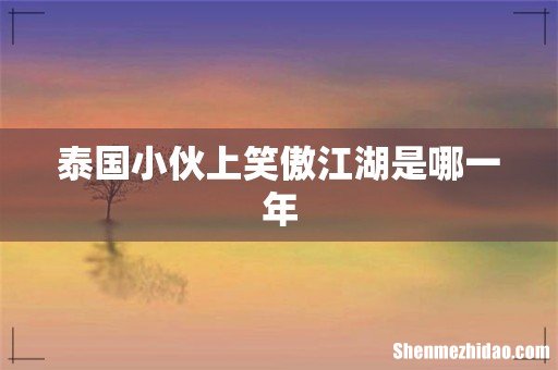 泰国小伙上笑傲江湖是哪一年