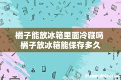 橘子能放冰箱里面冷藏吗 橘子放冰箱能保存多久
