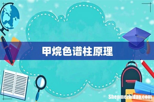 甲烷色谱柱原理