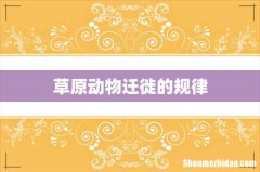 草原动物迁徙的规律