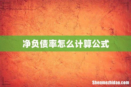 净负债率怎么计算公式