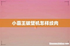 小霸王破壁机怎样绞肉