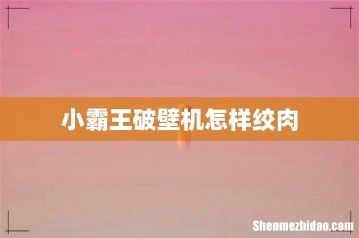 小霸王破壁机怎样绞肉