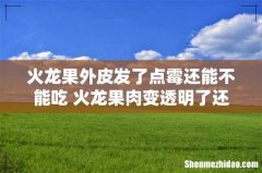 火龙果外皮发了点霉还能不能吃 火龙果肉变透明了还能吃吗