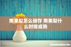 南果梨怎么储存 南果梨什么时候成熟