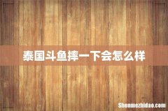 泰国斗鱼摔一下会怎么样