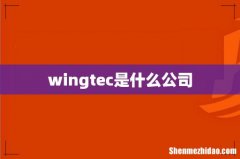 wingtec是什么公司