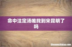 命中注定汤唯找到宋昆明了吗