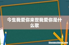 今生我爱你来世我爱你是什么歌