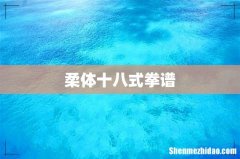 柔体十八式拳谱