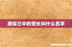 唐探三中的警长叫什么名字