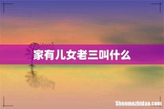 家有儿女老三叫什么