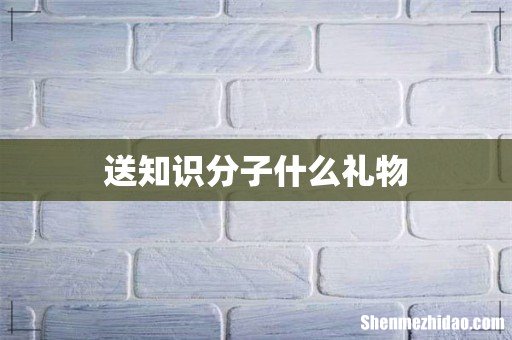 送知识分子什么礼物