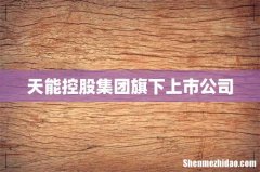 天能控股集团旗下上市公司