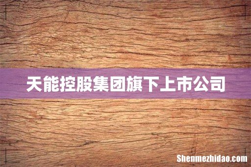 天能控股集团旗下上市公司