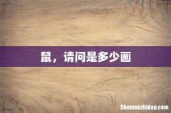 鼠，请问是多少画