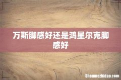 万斯脚感好还是鸿星尔克脚感好