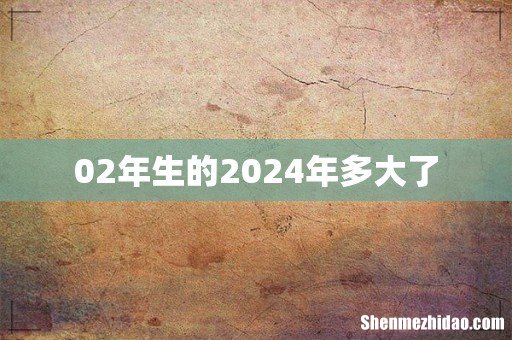 02年生的2024年多大了