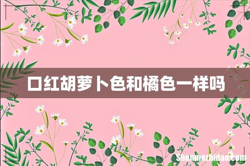 口红胡萝卜色和橘色一样吗