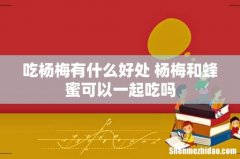 吃杨梅有什么好处 杨梅和蜂蜜可以一起吃吗