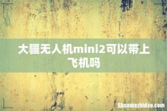 大疆无人机mini2可以带上飞机吗