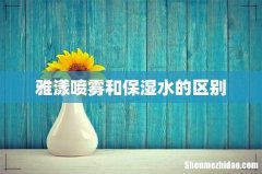 雅漾喷雾和保湿水的区别