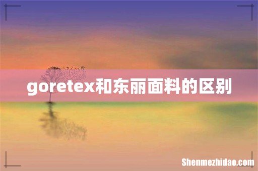 goretex和东丽面料的区别