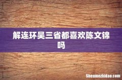解连环吴三省都喜欢陈文锦吗