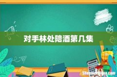 对手林处陪酒第几集