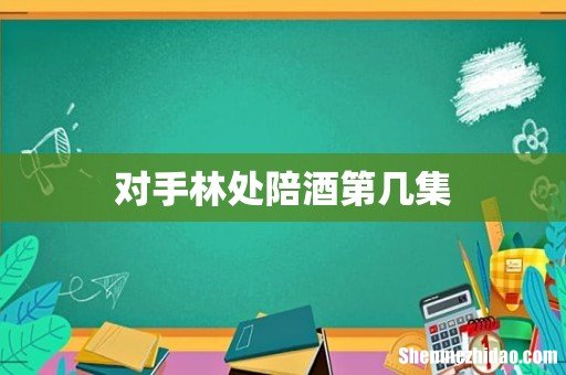 对手林处陪酒第几集