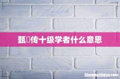 甄嬛传十级学者什么意思