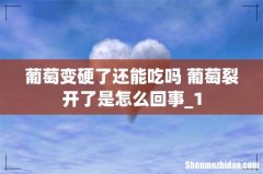 葡萄变硬了还能吃吗 葡萄裂开了是怎么回事_1