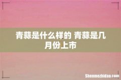 青蒜是什么样的 青蒜是几月份上市