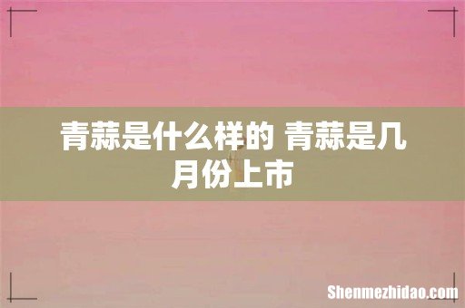青蒜是什么样的 青蒜是几月份上市