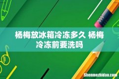 杨梅放冰箱冷冻多久 杨梅冷冻前要洗吗