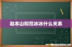 赵本山和范冰冰什么关系