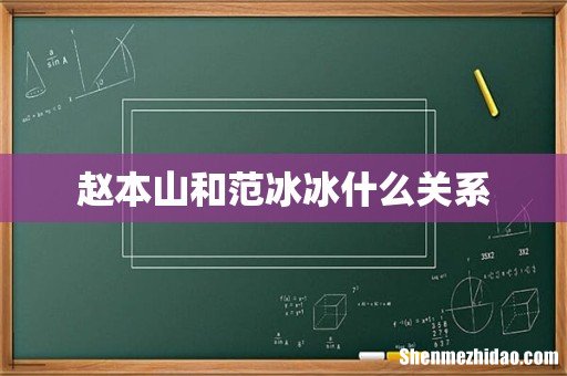 赵本山和范冰冰什么关系