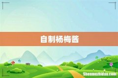 自制杨梅酱